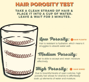 Curly Hair Porosity Test